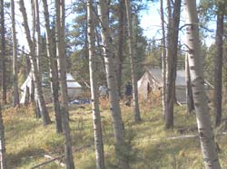 hunt camp