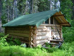 Moose camp