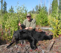 Black bear