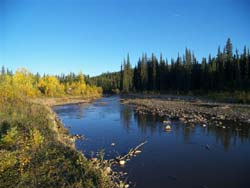Fish creek
