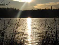 Moose and fish lake