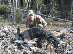 bear