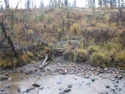 Elk wallow