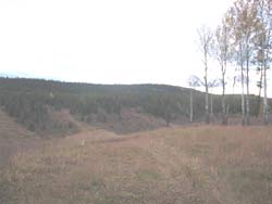 bow hunting