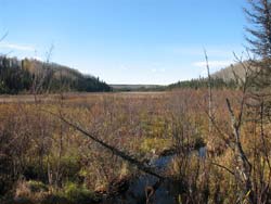 moose country