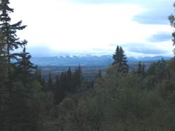 nice view