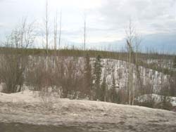 old burn