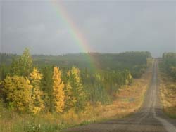 pot of gold