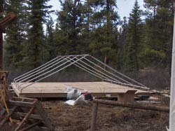tent