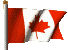 Hunt for bear in Canada