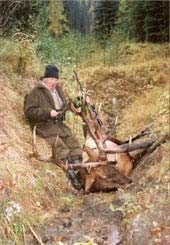 elk