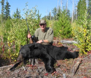 Black Bear