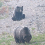 Getting ready for winter