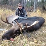 Great Hunter , Nice Bull